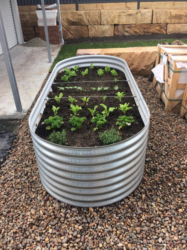 Gardening Tips!