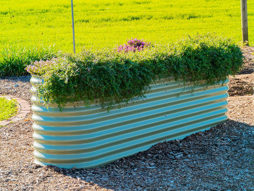 5 Raised Garden Bed Tips